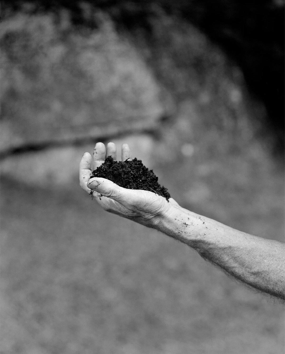 2237f0cb 1117 4dde 87c1 03d65b396844