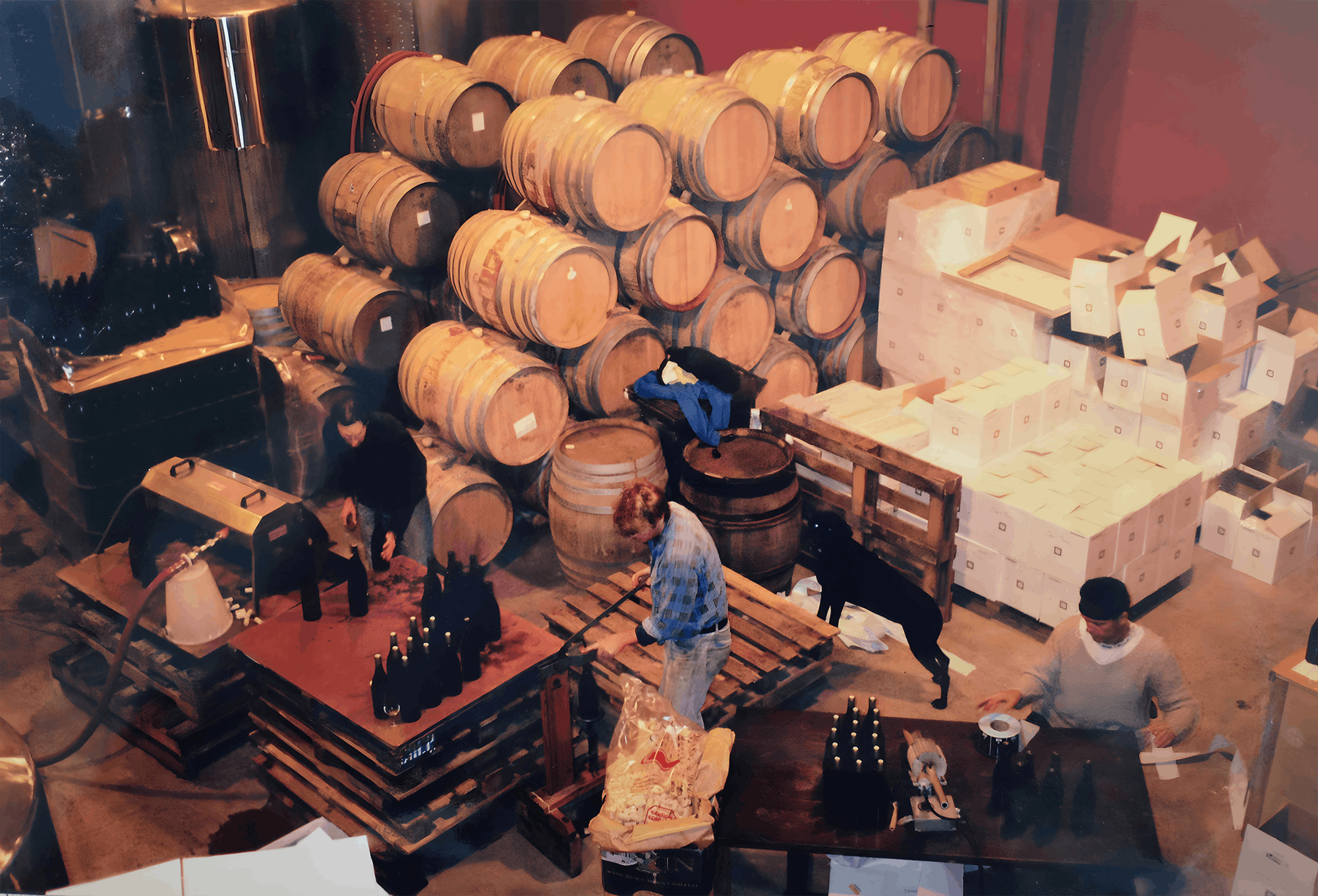 Bottling Finla Mor Pinot Noir, 1997