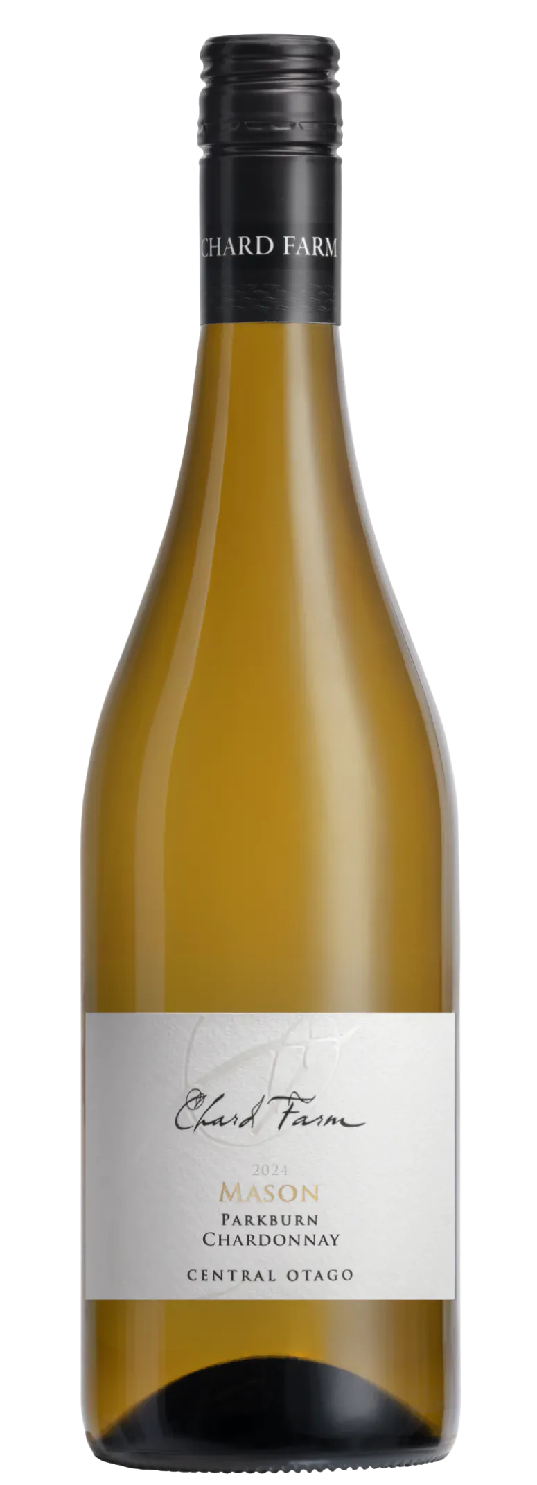 Mason Chardonnay 2024 2