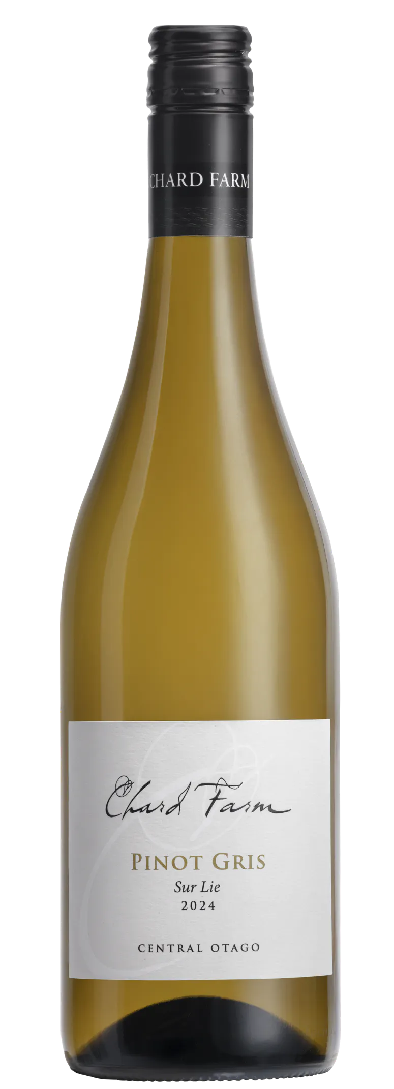 Pinot Gris 24 new