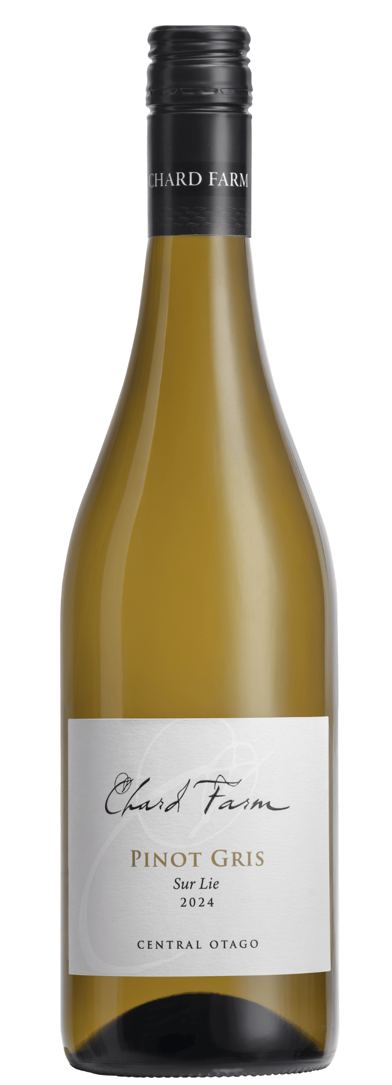 Pinot Gris 24 new