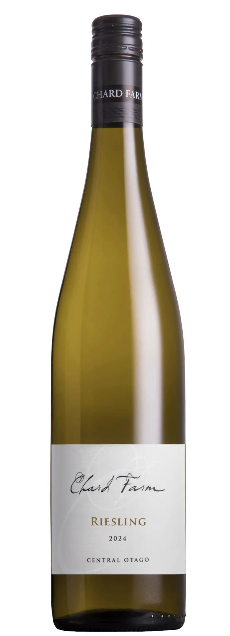Riesling 2024 new