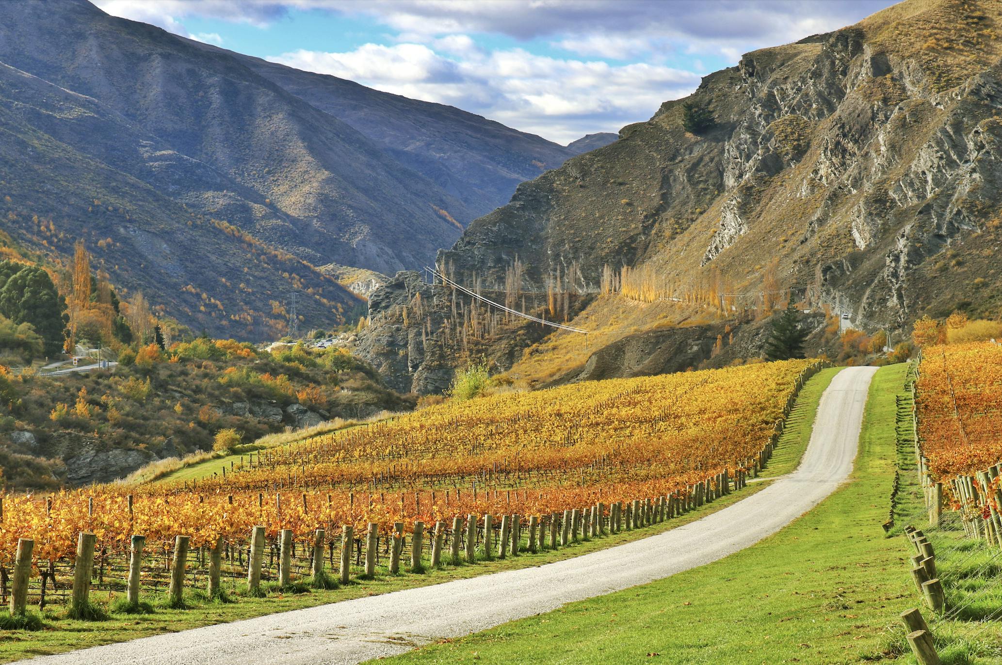 Screenshot 2026 01 28 at 11 40 34